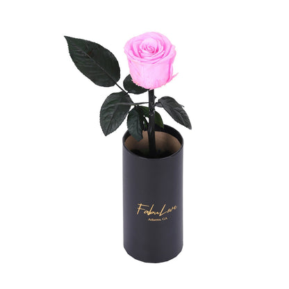 Klasyczna Jedna Wieczna Róża