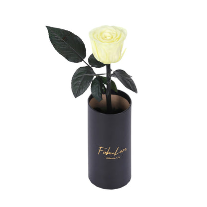 Klasyczna Jedna Wieczna Róża