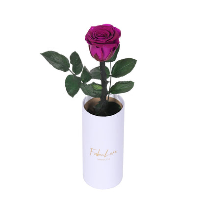 Klasyczna Jedna Wieczna Róża