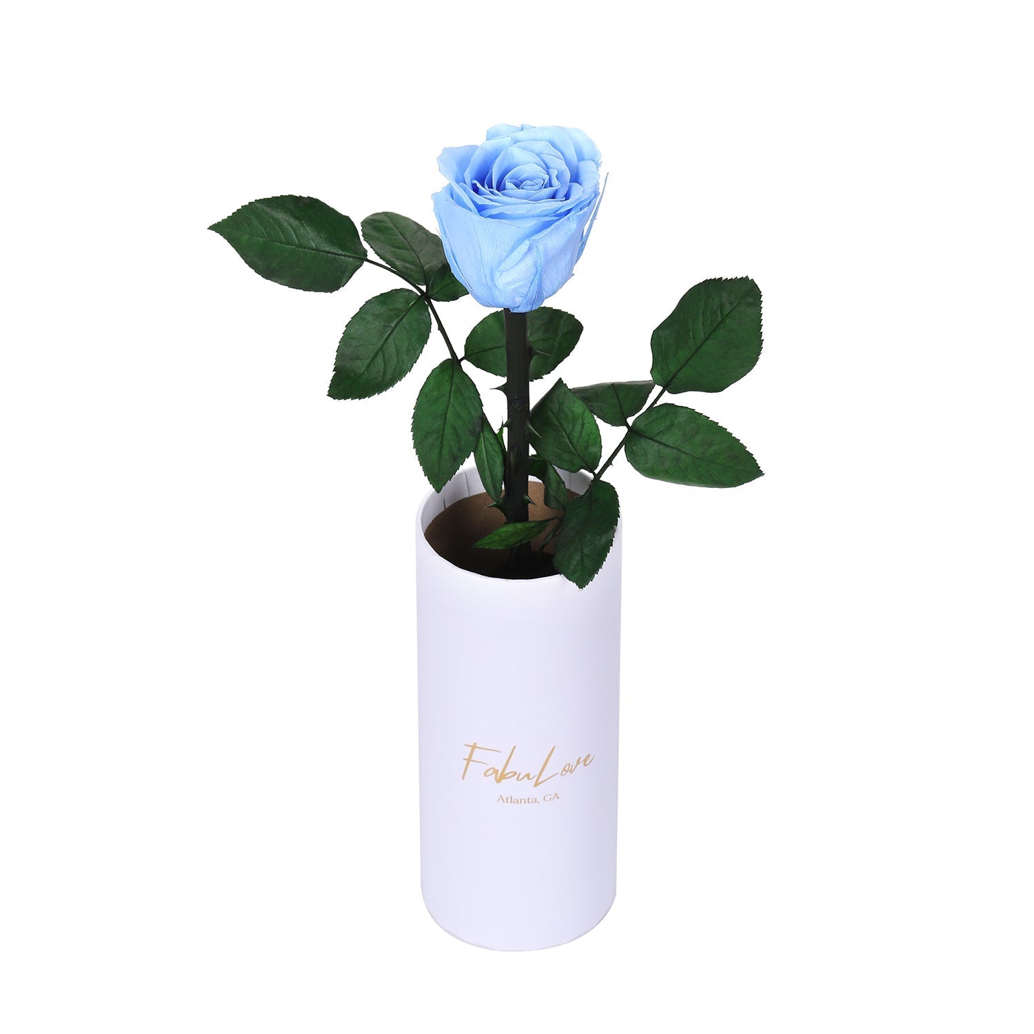 Klasyczna Jedna Wieczna Róża