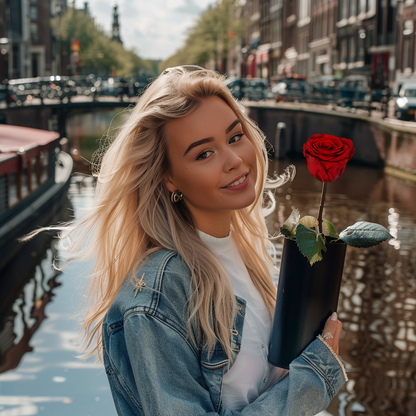 Klasyczna Jedna Wieczna Róża